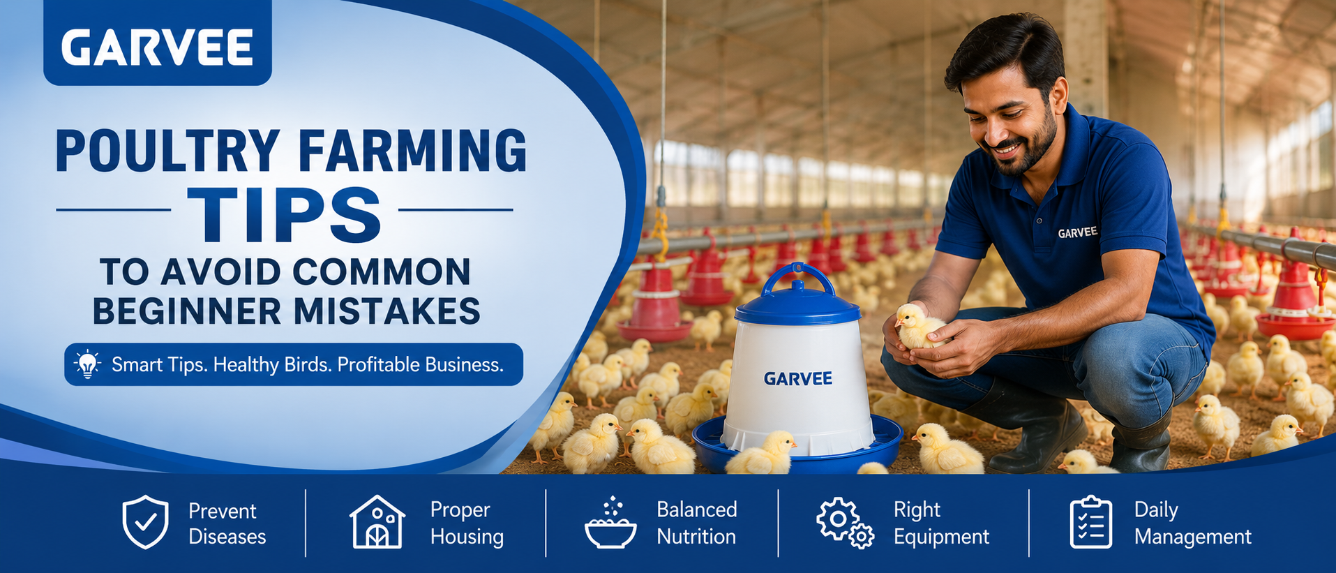 Poultry Farming Tips to Avoid Common Beginner Mistakes